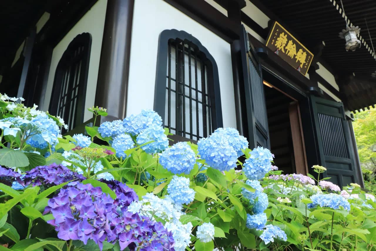鎌倉 長谷寺