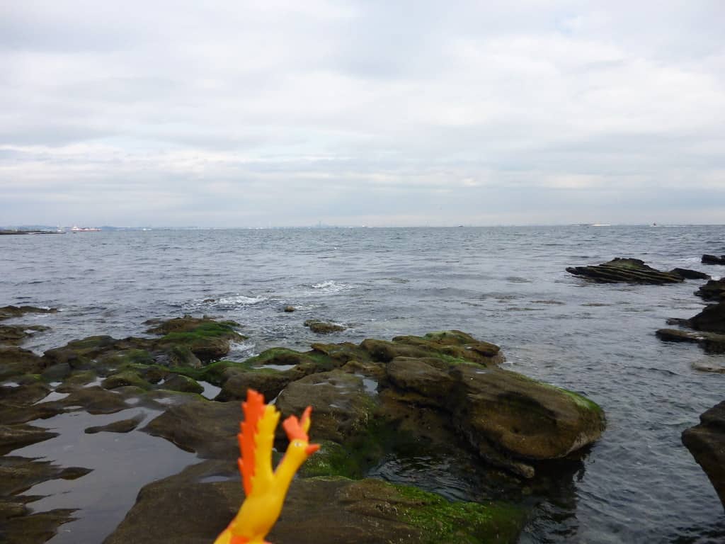 県立観音崎公園