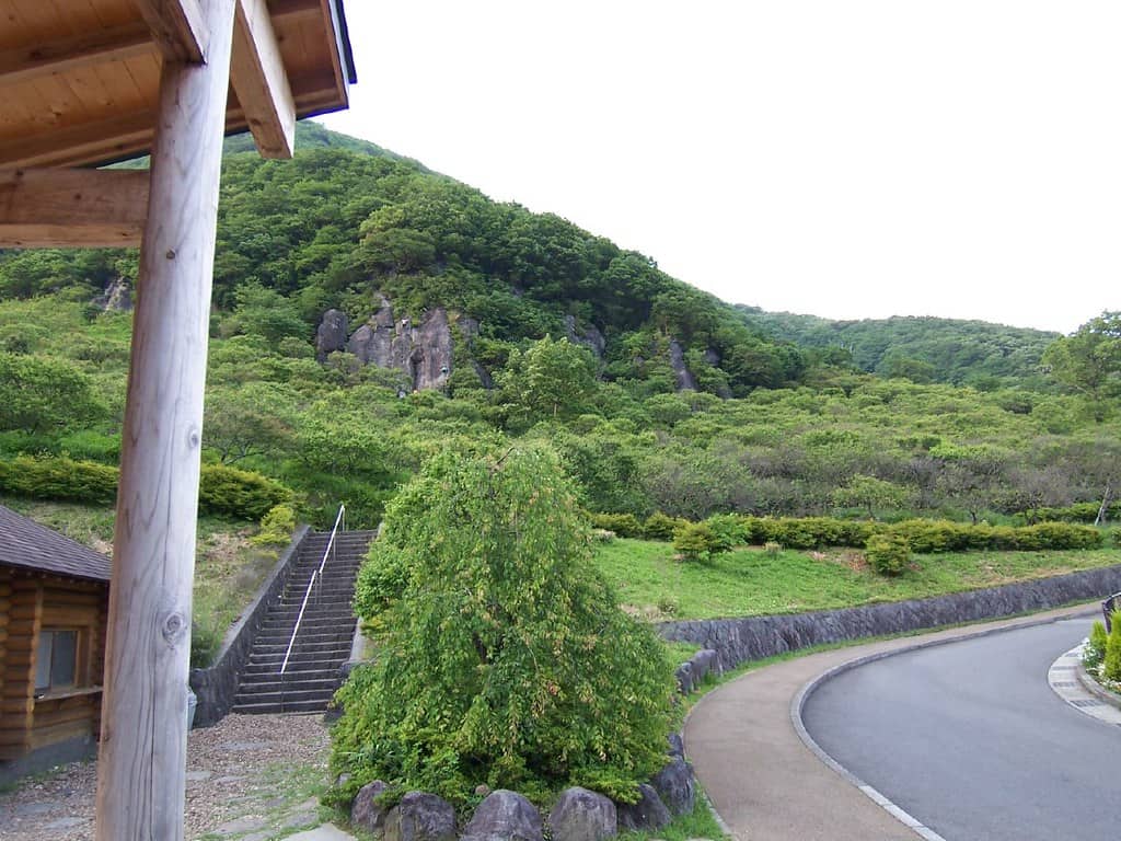 湯河原梅林(幕山公園)