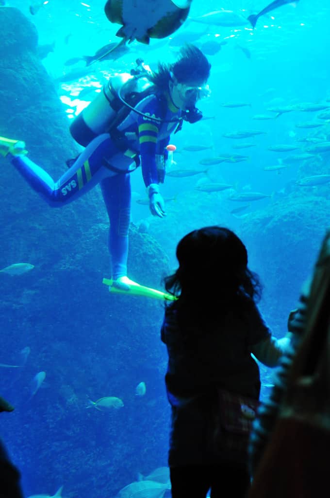 新江ノ島水族館