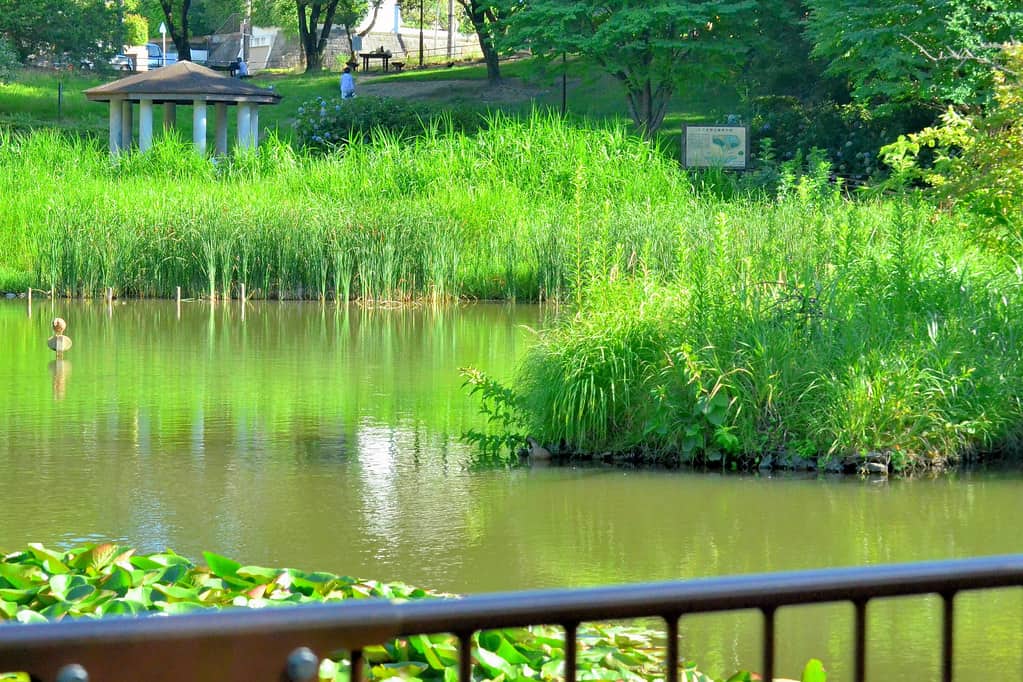 もえぎ野公園
