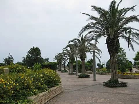 うみかぜ公園