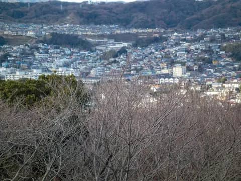 衣笠山公園