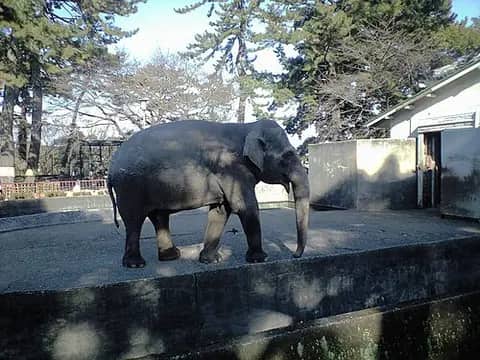 小田原城址公園