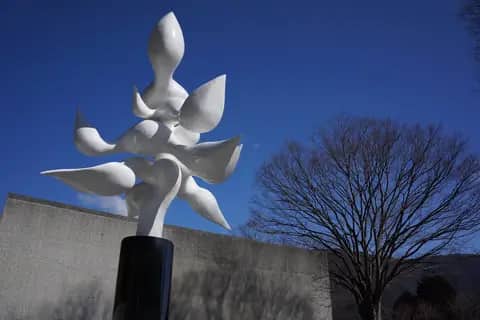 彫刻の森美術館