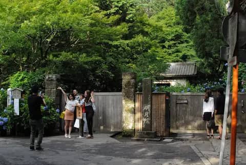 明月院（あじさい寺）