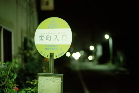 我孫子市 鳥の博物館