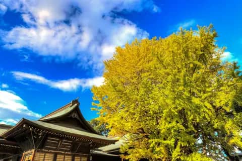 葛飾八幡宮