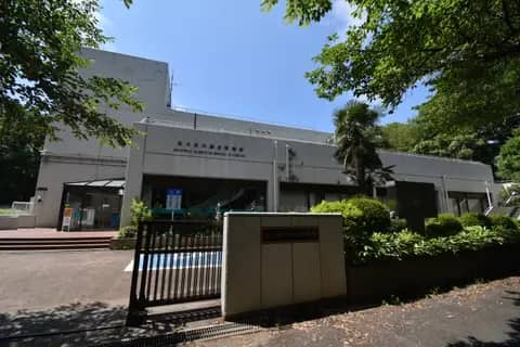 市立市川歴史博物館