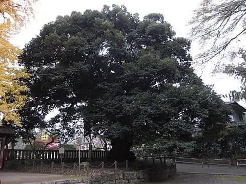一之宮貫前神社