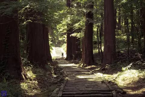 出羽三山神社 三神合祭殿