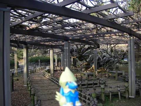 芦城公園