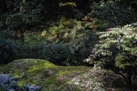 花のミュージアム フローリィ