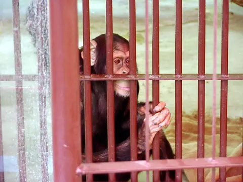 池田動物園