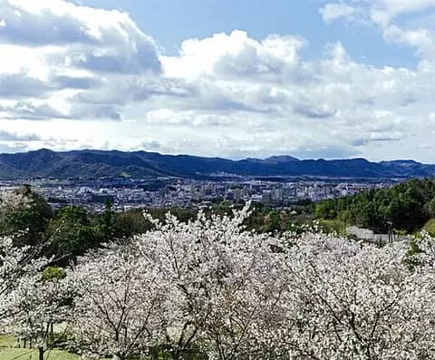憩いの森公園