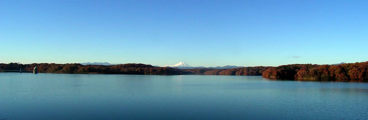 狭山湖(山口貯水池)