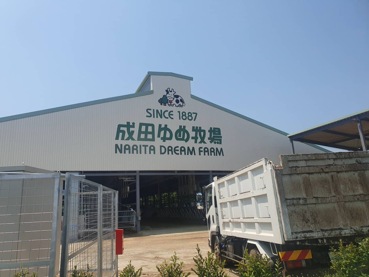 ひまわり迷路（成田ゆめ牧場）