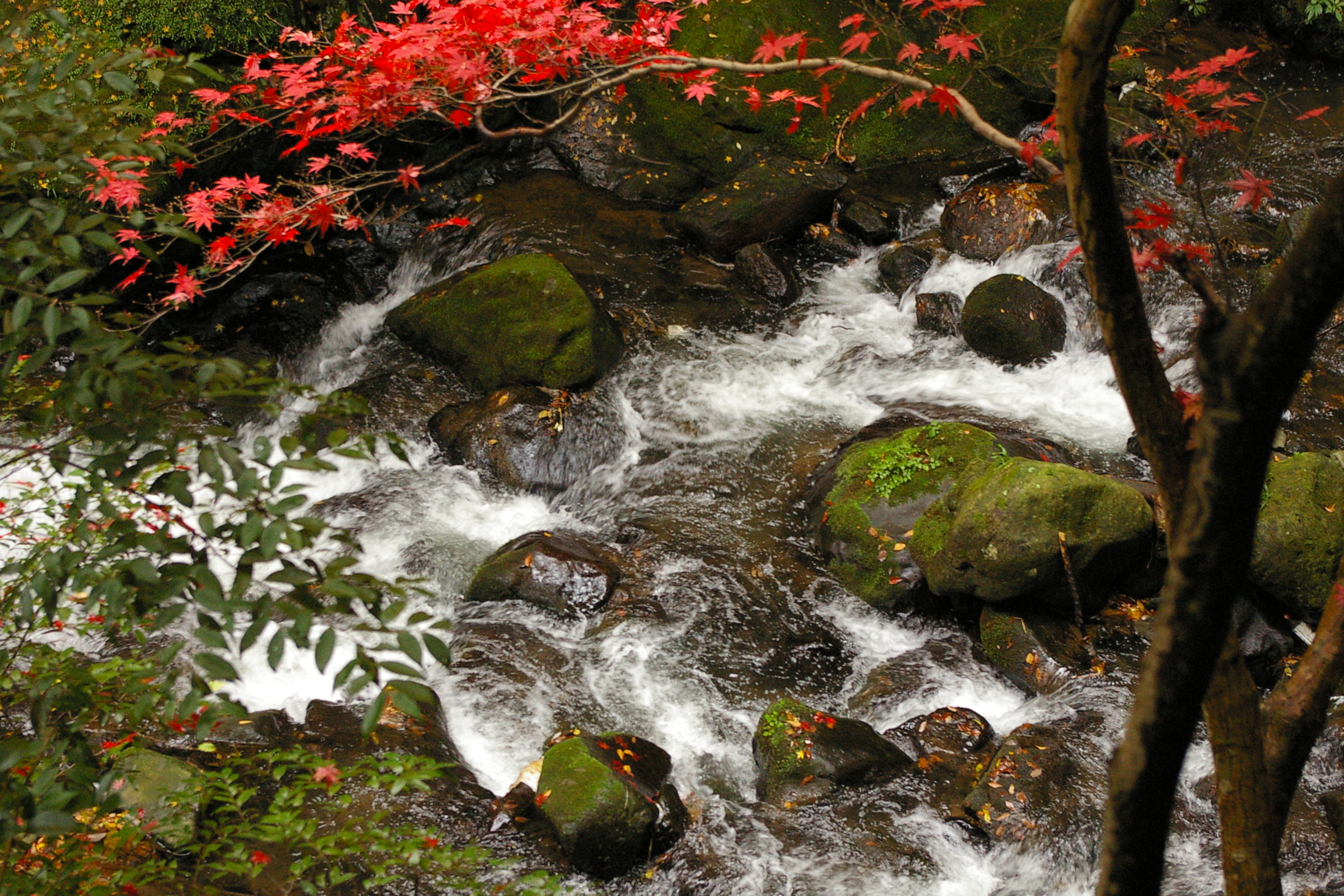 湯河原温泉