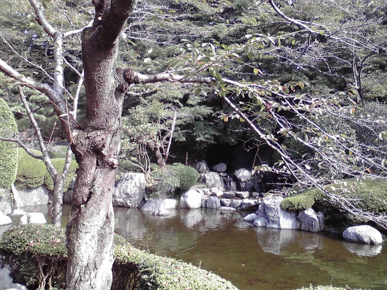 八幡山公園