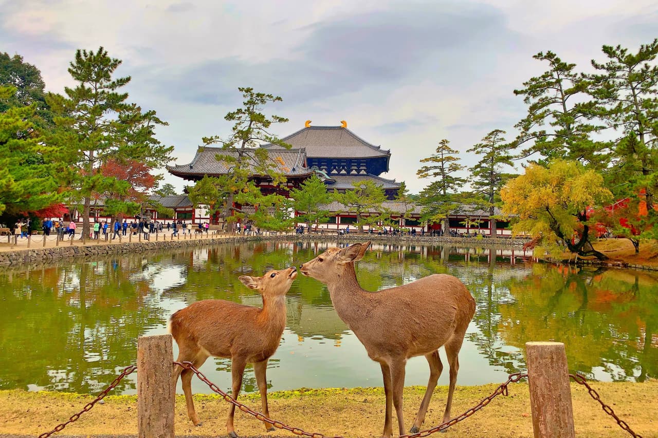 奈良県