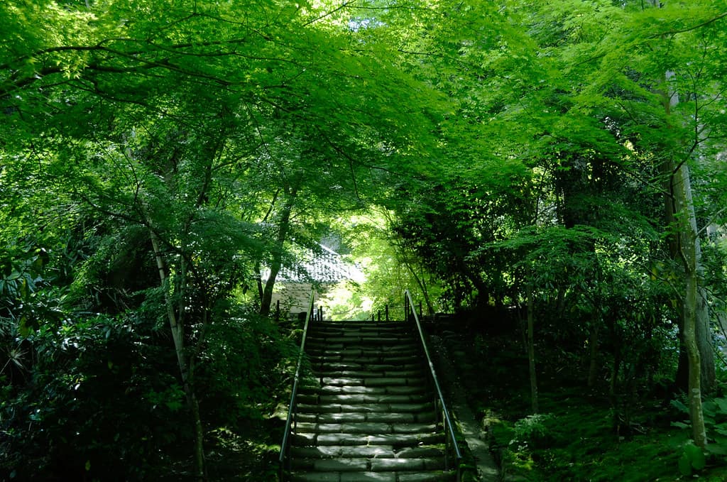 円通院