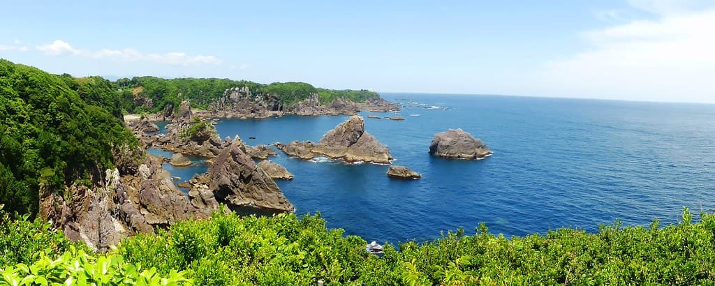 海金剛