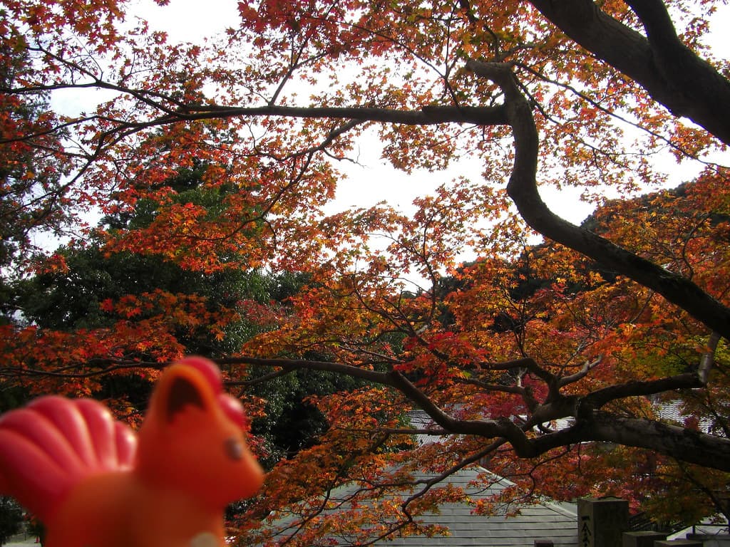 當麻寺 中之坊
