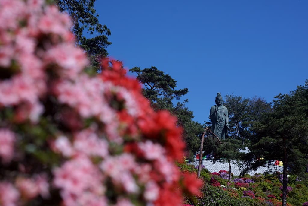 塩船観音寺