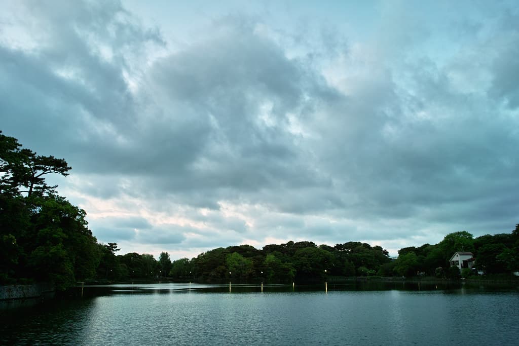 洗足池公園