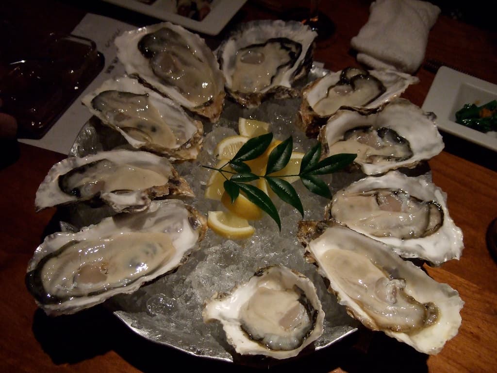 Oyster