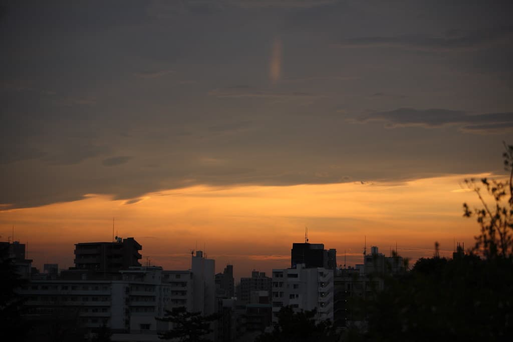 西郷山公園