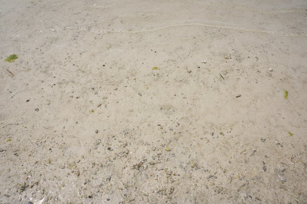 エメラルドビーチ