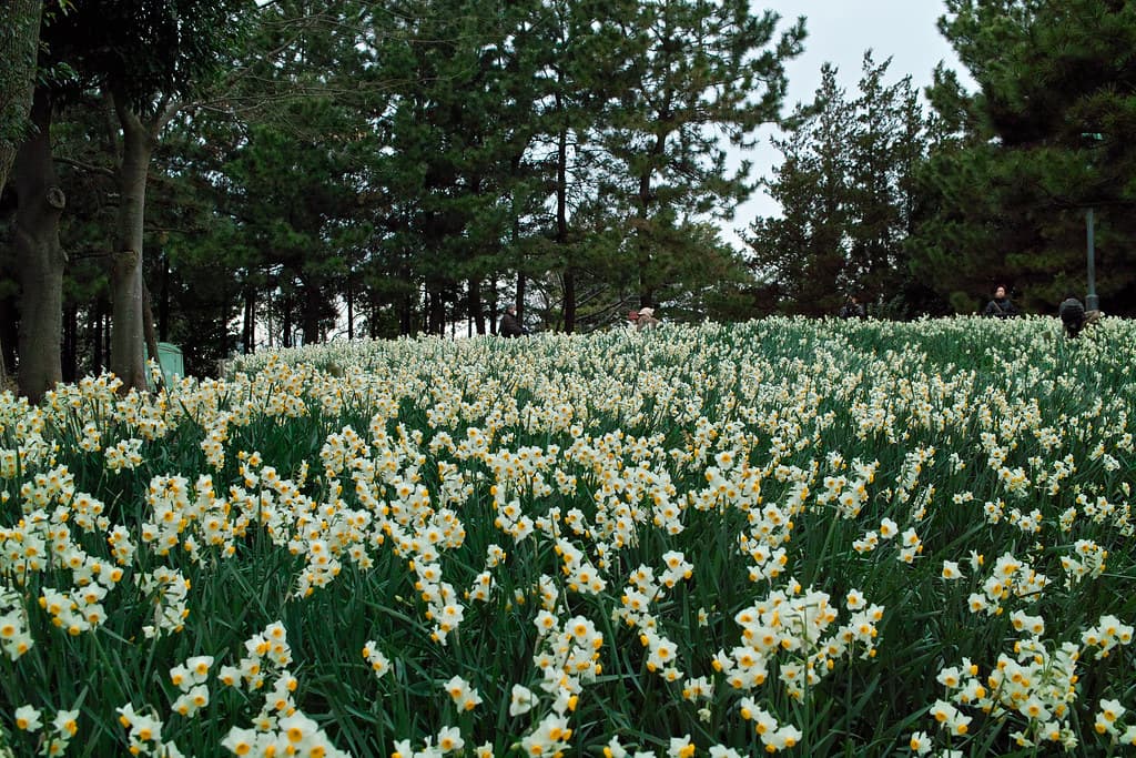 葛西臨海公園 バーベキュー広場