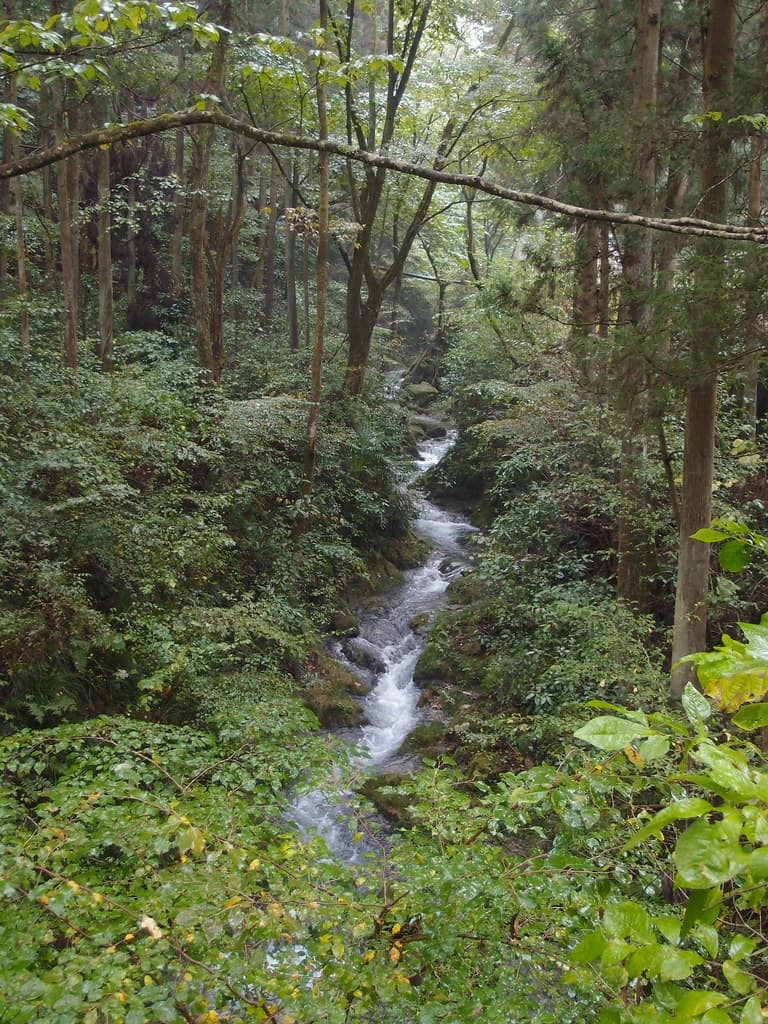 陣馬山