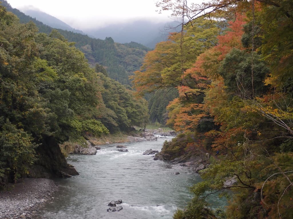 多摩川
