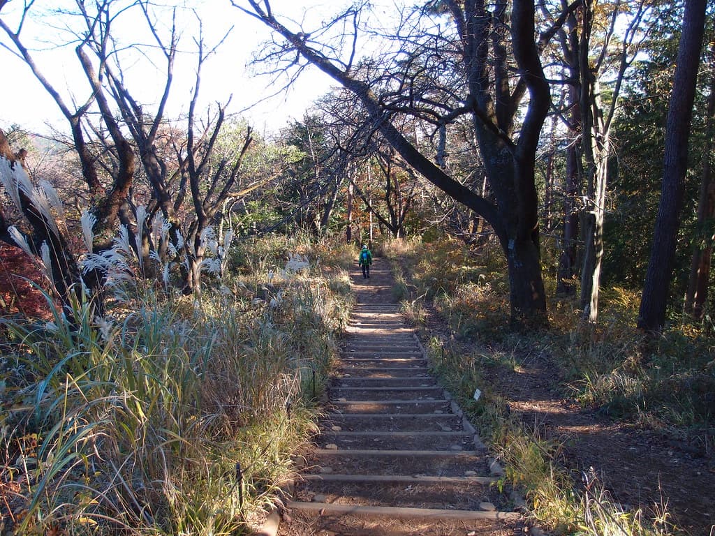 城山公園