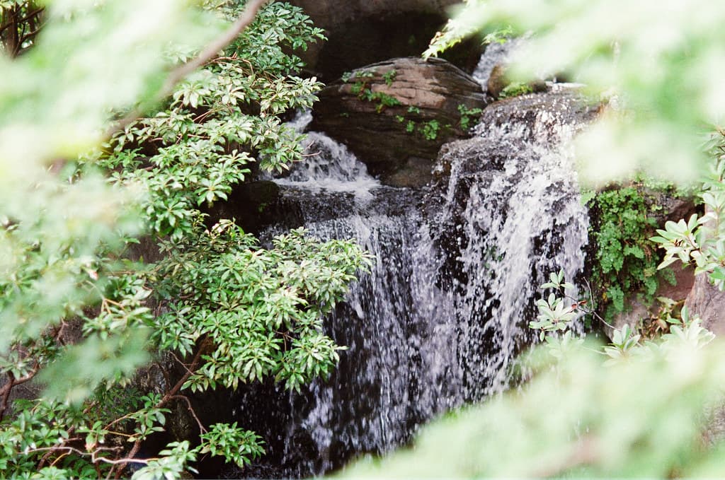 西新井大師