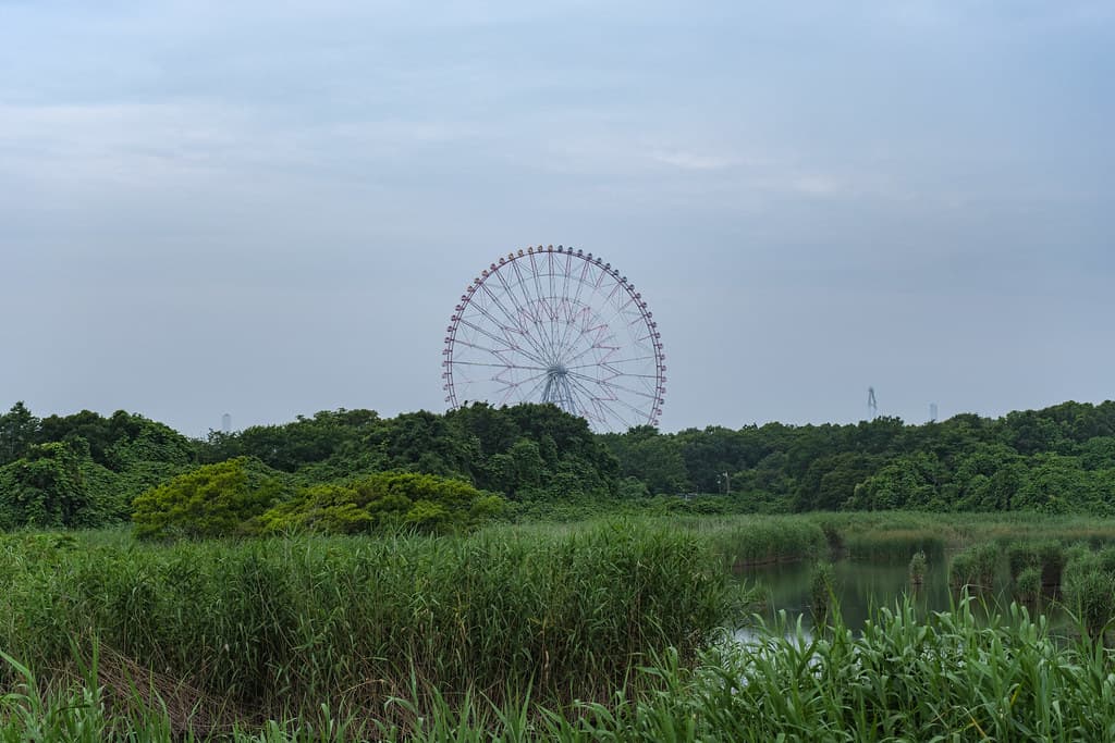 ダイヤと花の大観覧車