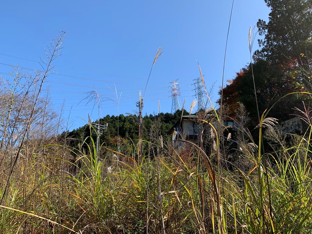 秋川渓谷 瀬音の湯