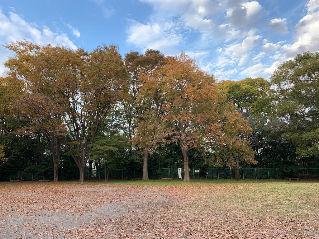 赤塚公園