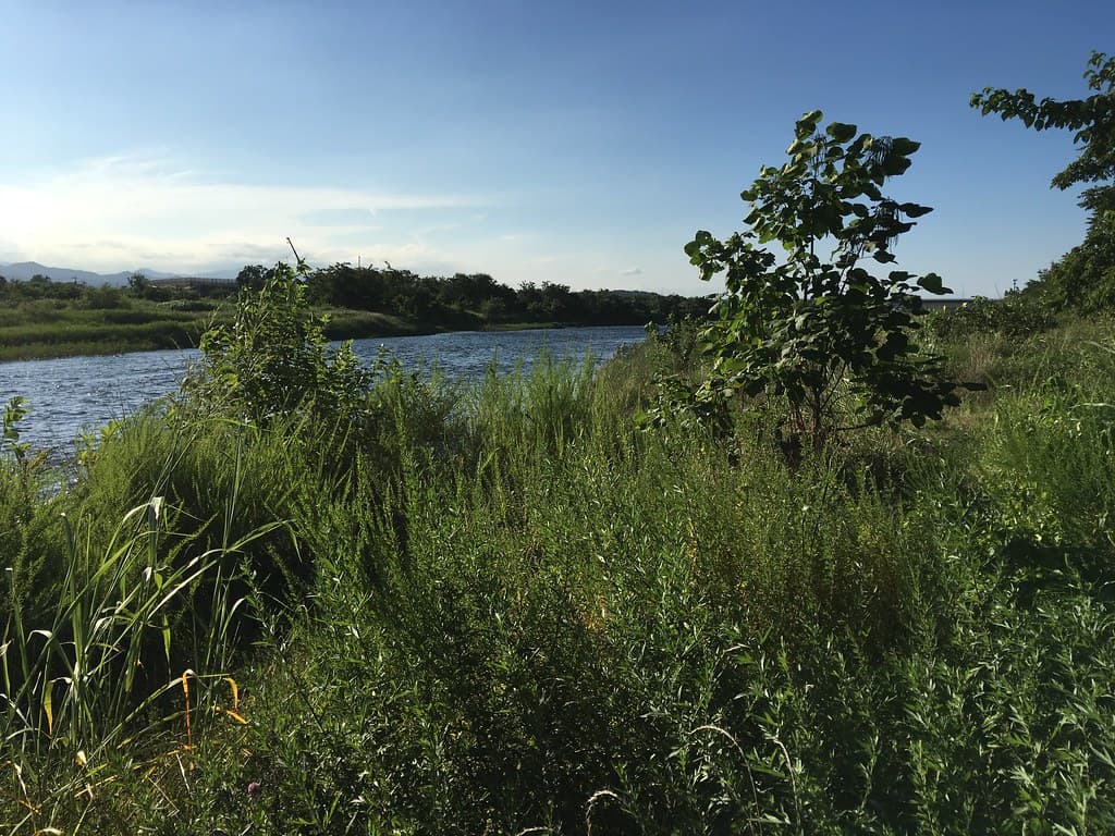 多摩川緑地福生南公園