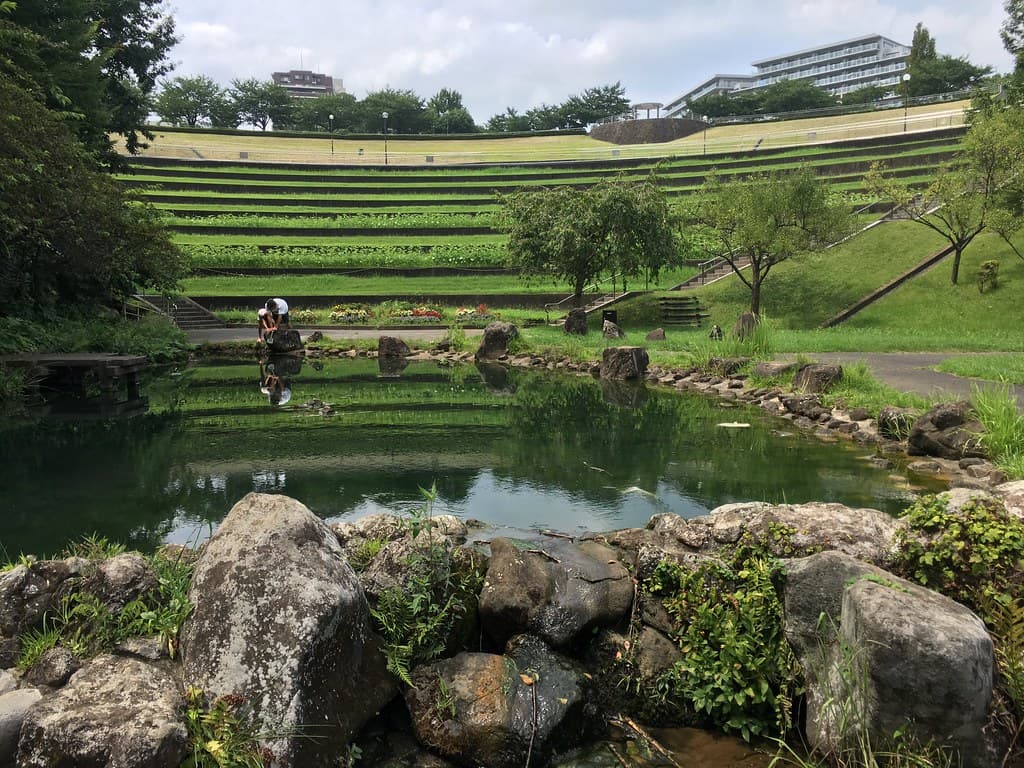 若葉台公園