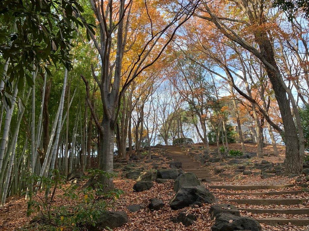稲城中央公園