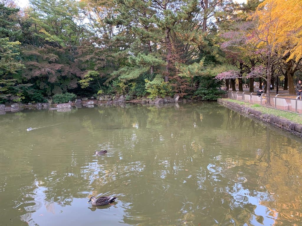 光が丘公園