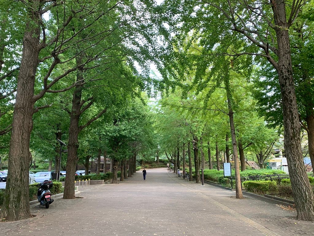 中央公園