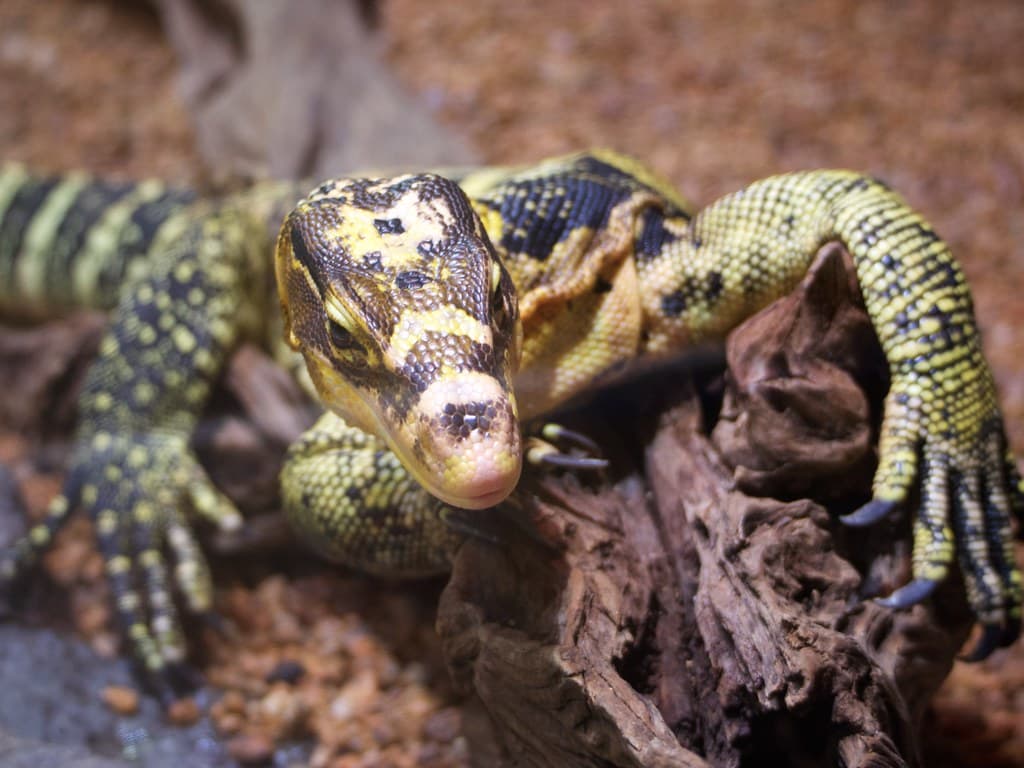 足立区生物園