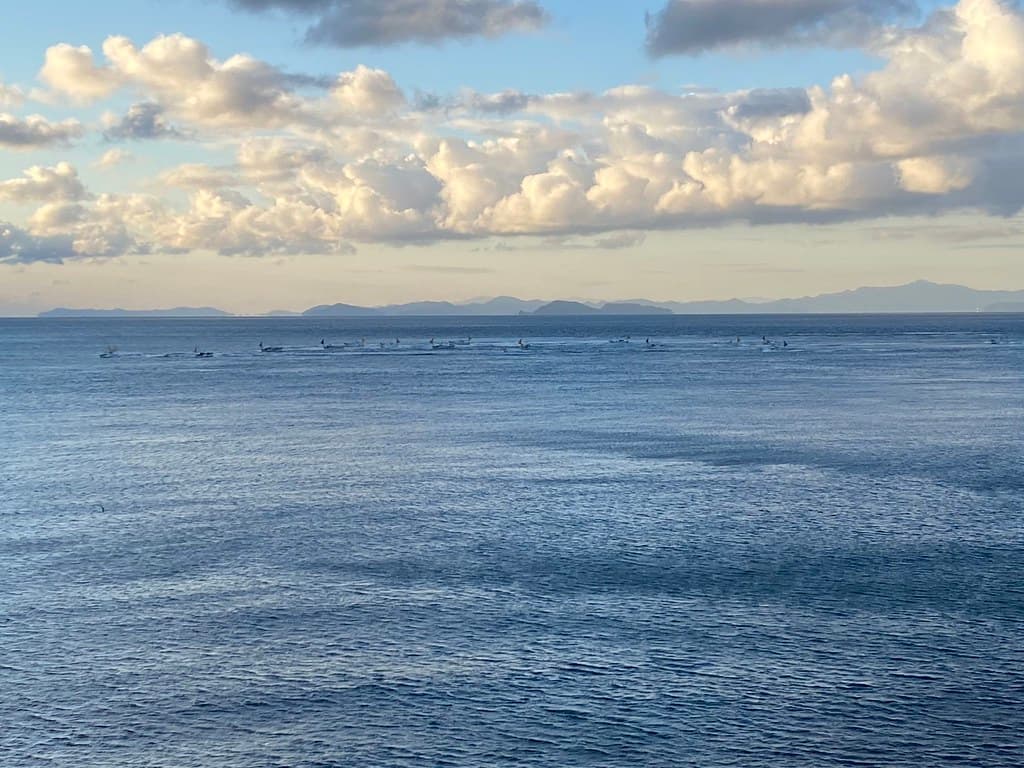佐田岬