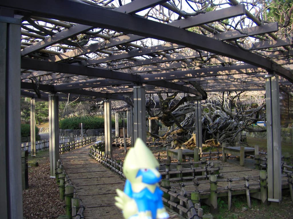 芦城公園
