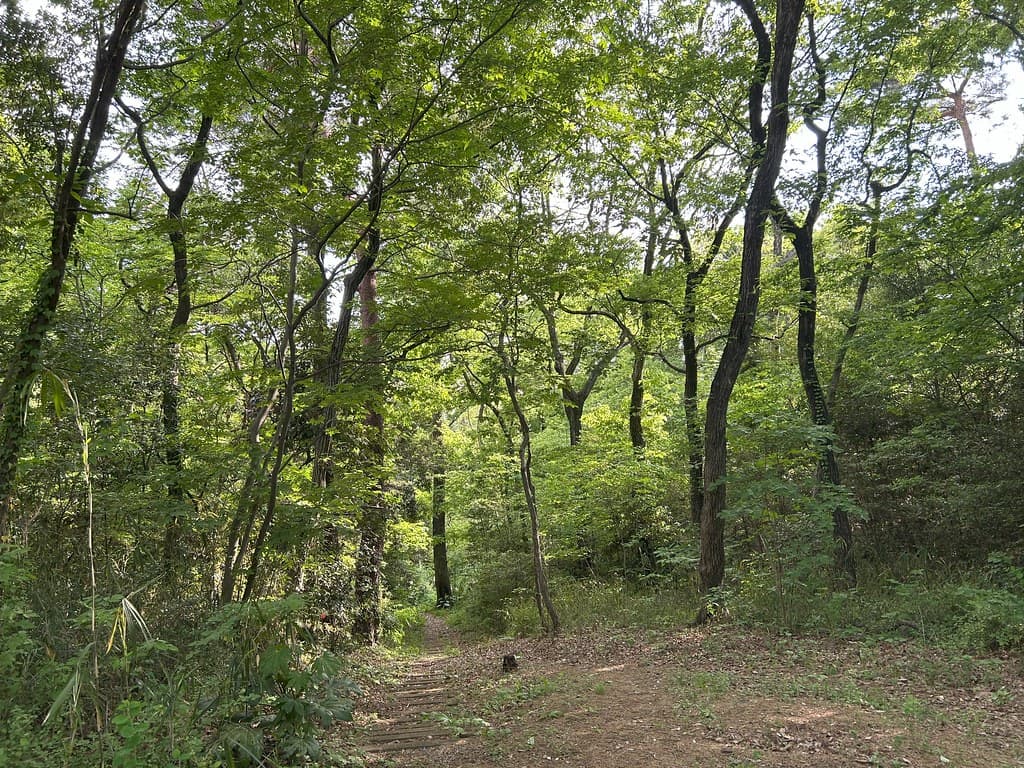 都立東大和公園
