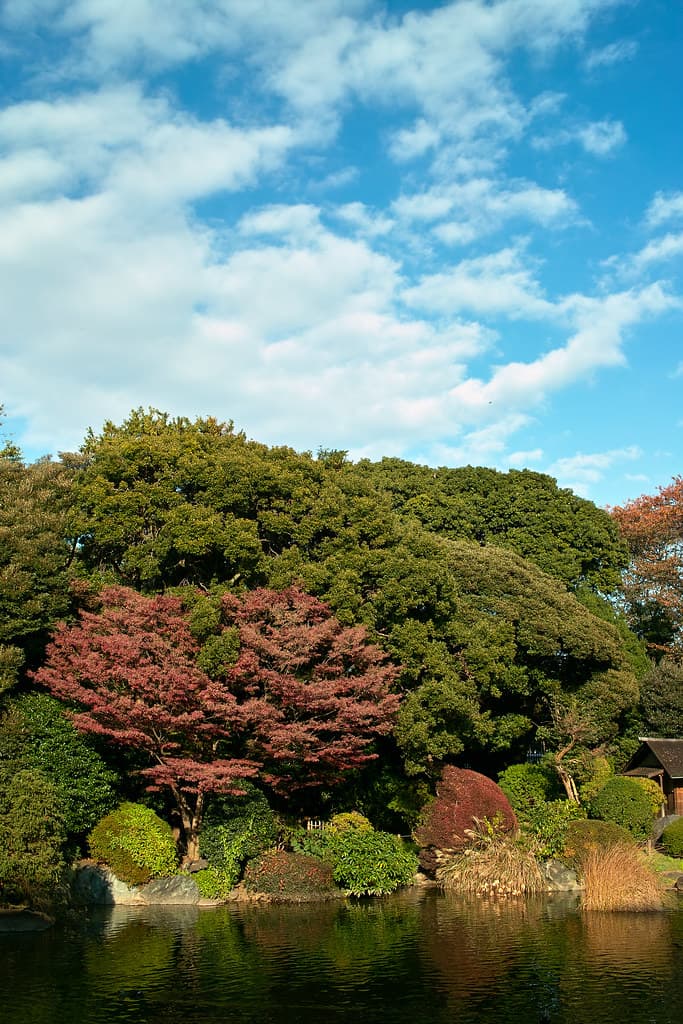 東京国立博物館
